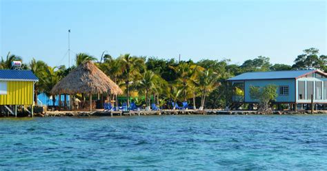 tarpon caye|TARPON CAYE LODGE .